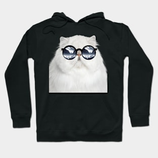 A white cat wearing glasses Hoodie